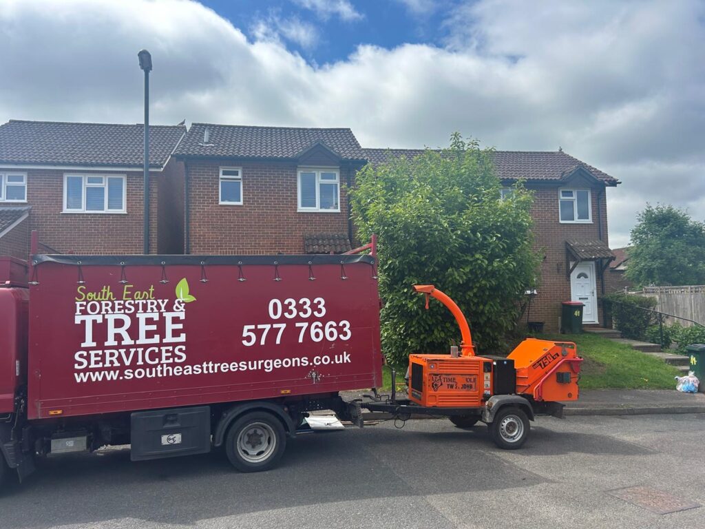 Tree surgery team working safely in a Surrey garden