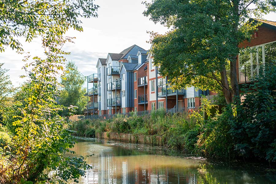 Arboricultural report for protected tree in Dorking, Surrey