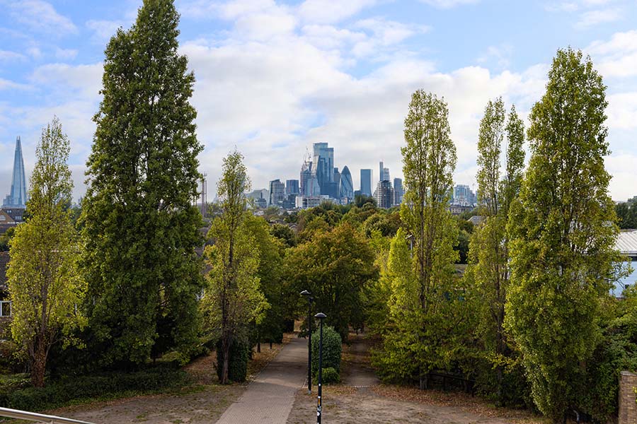 Crown reduction of protected tree in Surrey carried out under council permission