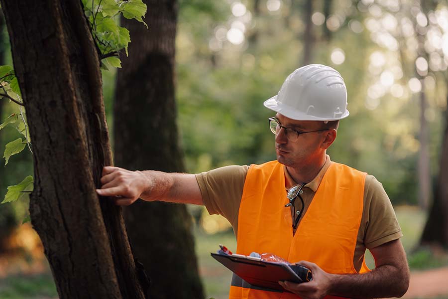 Tree surgeon discussing tree work with homeowner in Surrey