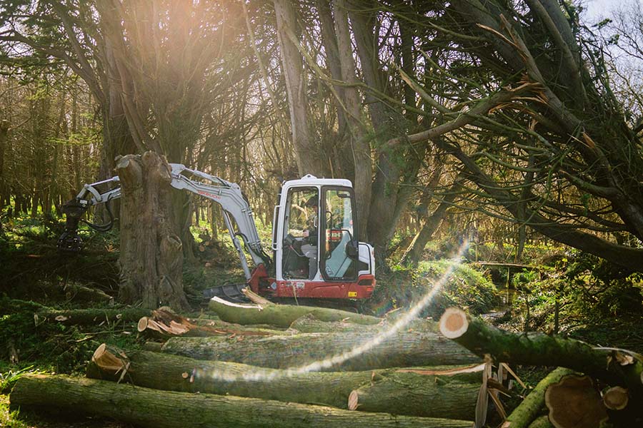 Stump Removal in a Surrey garden