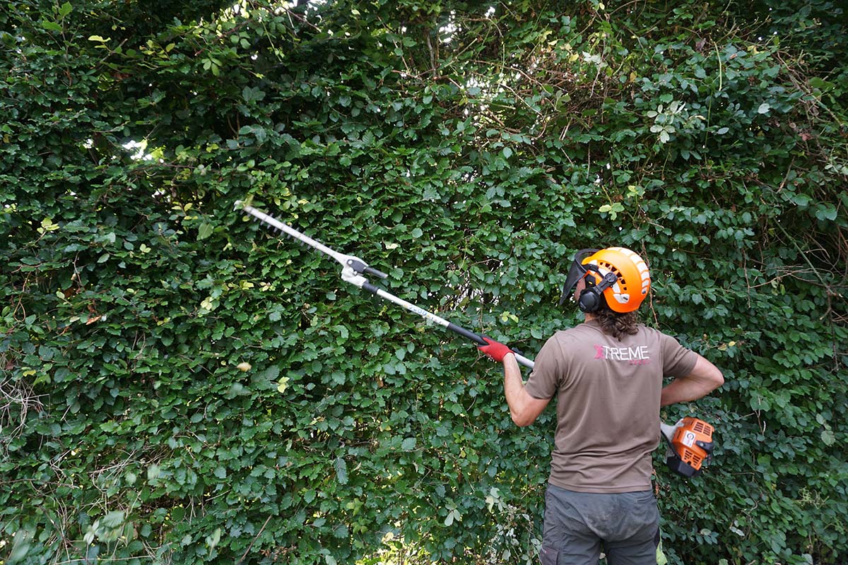 Hedge Management, Surrey