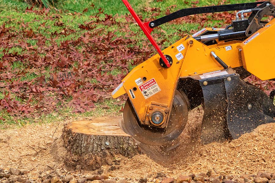 Stump grinder removing a tree stump below ground level in a Surrey garden